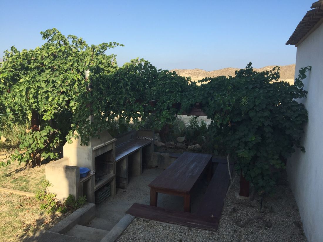 An outdoor barbecue and dining table shaded by a grapevine pergola