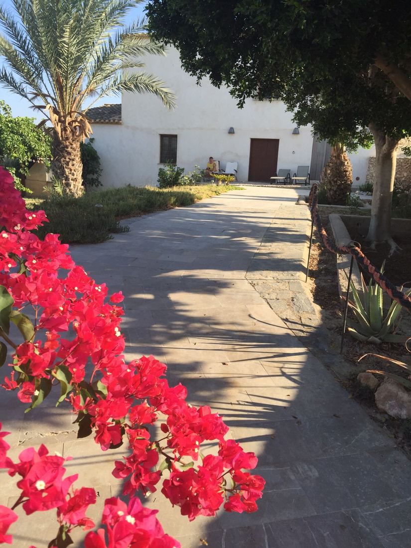 A stone path lined with bougainvillea leading to the front of the house