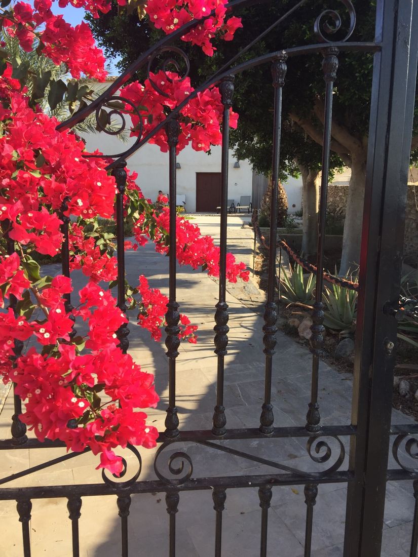 A wrought-iron garden gate framed by red bougainvillea, opening onto the courtyard