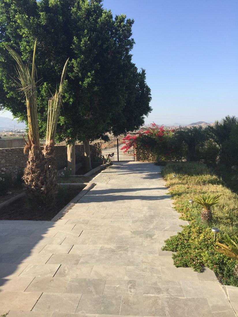 A shaded garden path bordered by palms and aloe, leading to the entrance gate